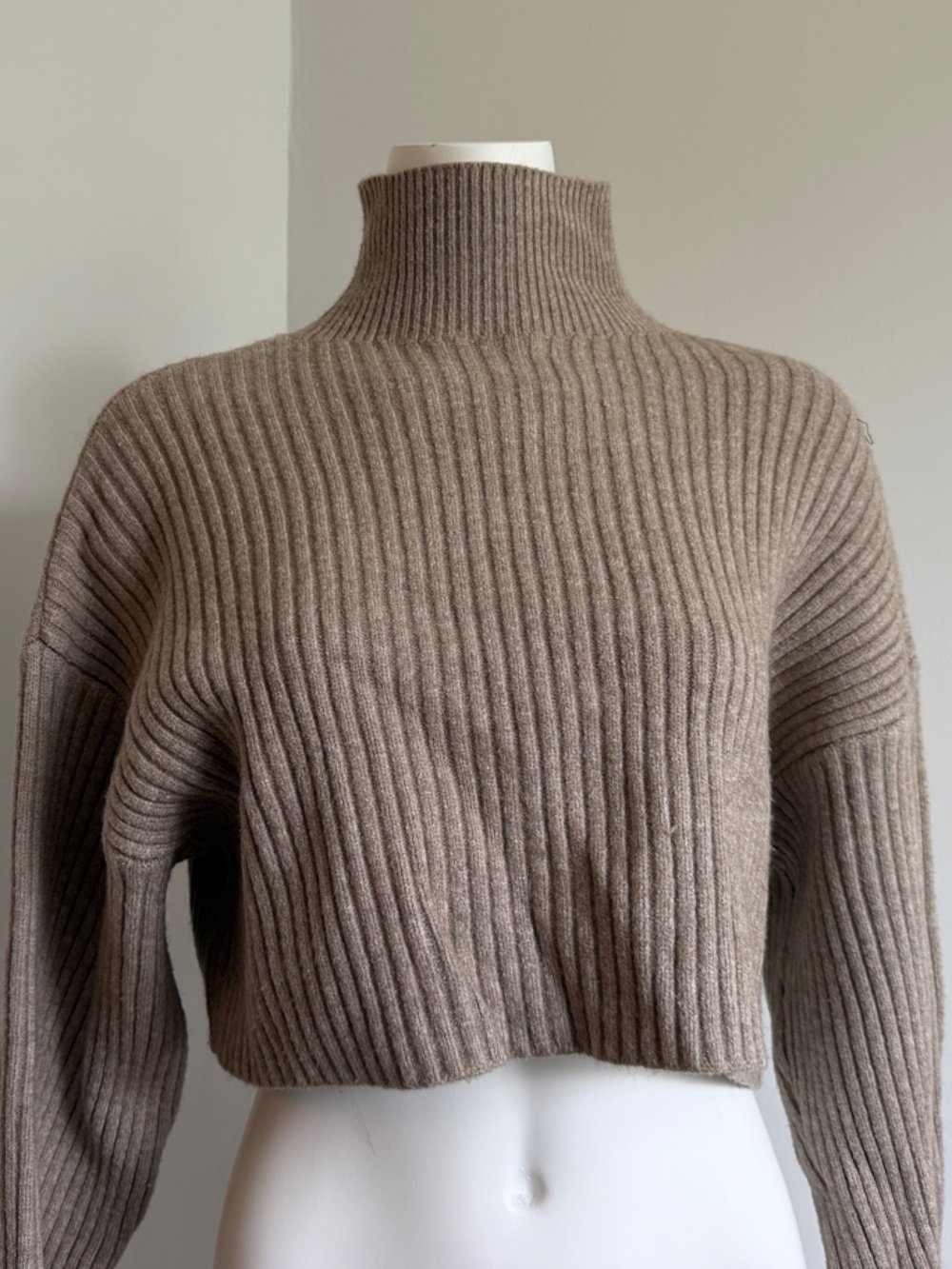 Zara Cropped Ribbed Mock Neck Sweater in Taupe